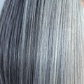 Leoni Wig - 1039   Alexander Couture Collection